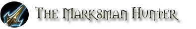 Marksman Hunter Class Guide