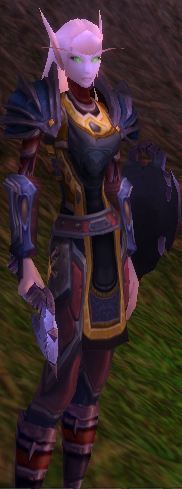 Protection Paladin Protection Paladin