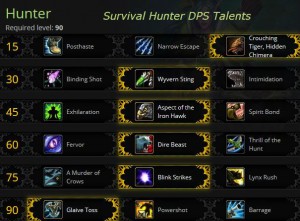 Survival Hunter Spec DPS Guide