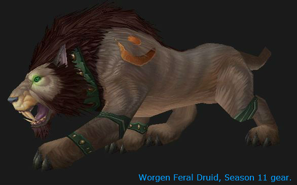 feral-druid-pvp-guide-cat-form-gotwarcraft