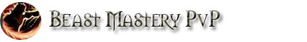 Beast Mastery Hunter Class Guide