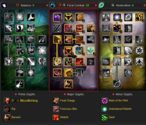 Feral Druid DPS Build