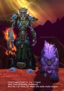 Troll Druid and Feral Cat Form