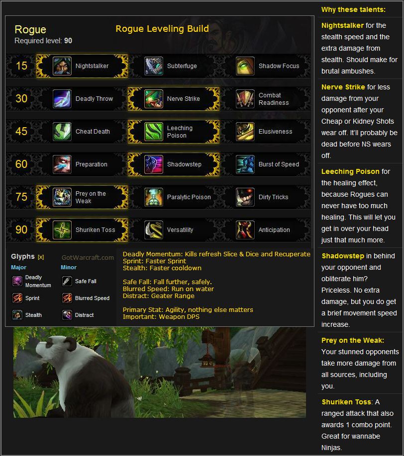 Rogue Leveling Build for Mists of Pandaria