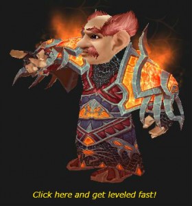 Gnome Warlock is Waiting for You to Level!