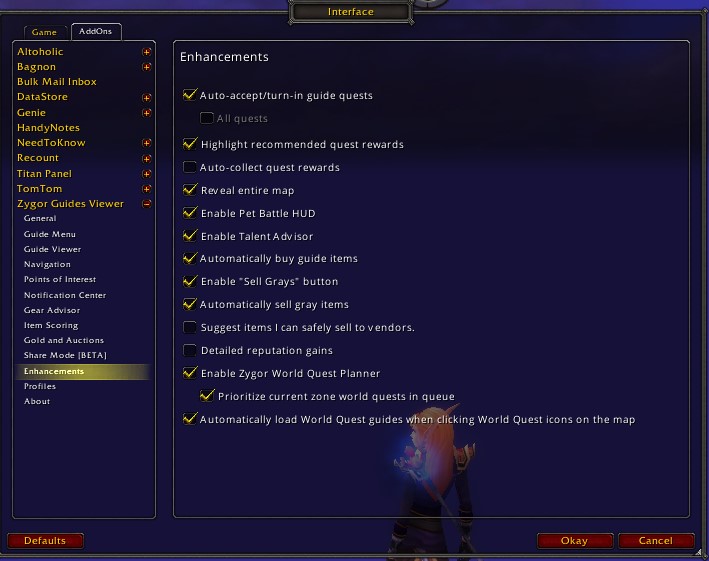 Zygor Interface