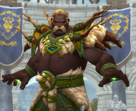 The Druid Leveling Guide -