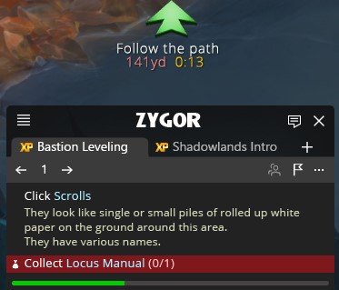 Zygor's Leveling Guide, and more. 